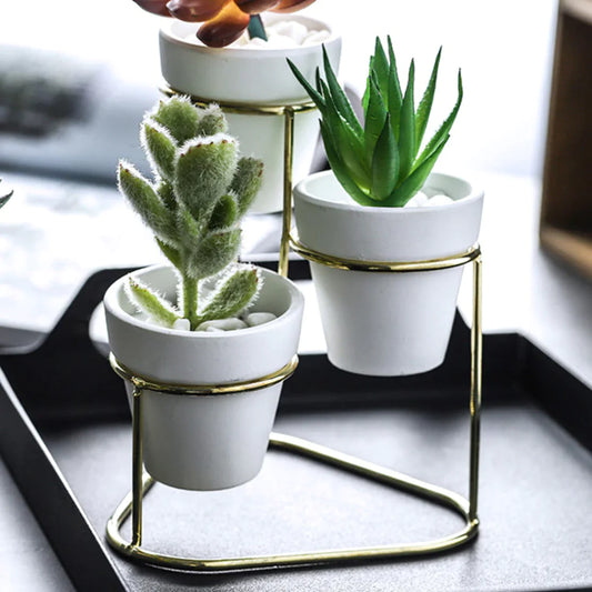 Elevate Your Decor with Our Elegant 3-in-1 Planter